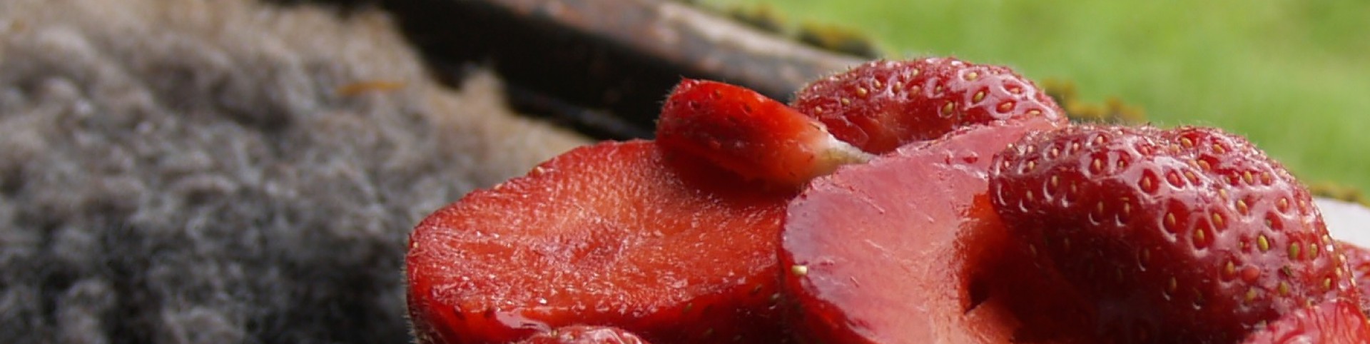 cropped-levinuet_banner_jordgubbe_lammskinn_grön.jpg