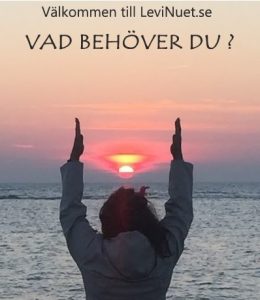 LeviNuet har överlämnat våra fina lokaler från 1 augusti 2022 som bytt namn till PRANA.CENTR. Inte bara Yoga, utan det blir många nya möjligheter för ert allra bästa mående som kommer erbjudas framöver. Missa inte LeviNuets Nyhetsbrev